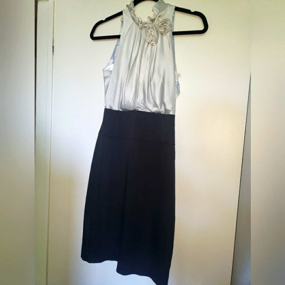 BCBGMAXAZRIA Women's Black and Cream Dress Size 2